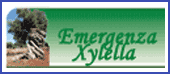 Emergenza Xylella