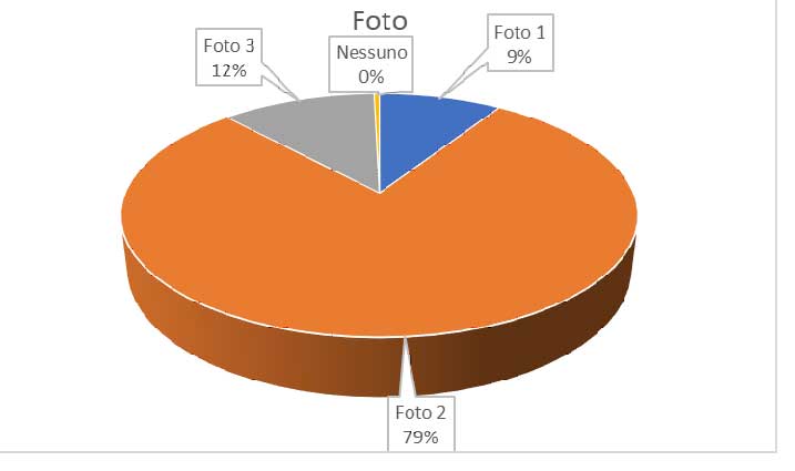 Grafico a torta con percentuali scelta foto 2 79 percento