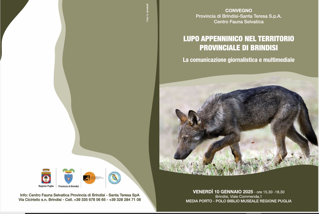 convegno lupo mediaporto