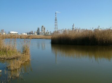 Invaso di Fiume Grande - Sullo sfondo zona industriale - Foto Pablo Zito 
