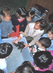 Educazione naturalistica con tartaruga marina
