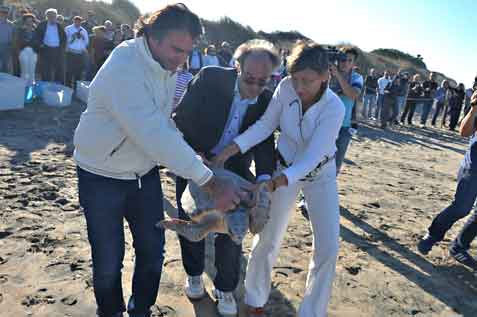 L’Assessore Provinciale Cosimo Pomarico, il Consigliere Provinciale Dott. Giuseppe Pace e la Dott.ssa Paola Pino d’Astore (referente tartarughe marine)