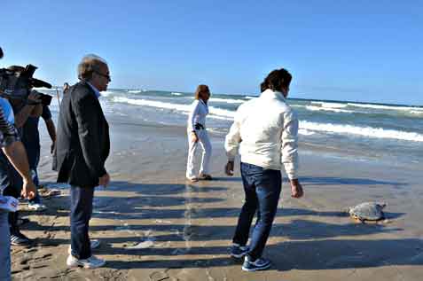 L’Assessore Provinciale Cosimo Pomarico, il Consigliere Provinciale Dott. Giuseppe Pace e la Dott.ssa Paola Pino d’Astore (referente tartarughe marine)