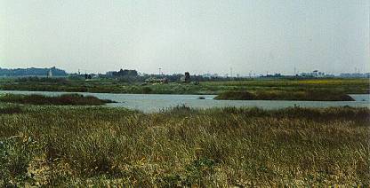 Laguna costiera - foto Nolasco