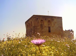 Torre Guaceto - Torre vicereale del XVI secolo - Foto Nolasco Torre Guaceto - Torre vicereale del XVI secolo - Foto Nolasco