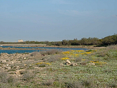 Torre Guaceto - Foto Pablo Zito Torre Guaceto - Foto Pablo Zito