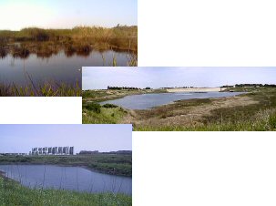 Panoramiche di alcune zone umide di Brindisi