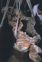 Recupero della statua di un personaggio togato Recupero della statua di un personaggio togato