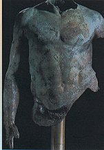 Torso maschile