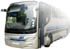 Autobus